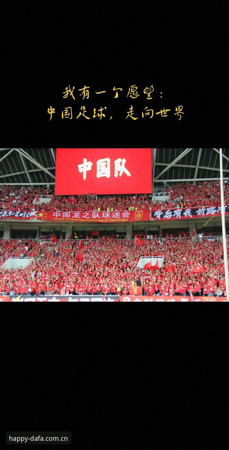 资深球迷分享：在手机版大发彩票官网体验欧联杯决赛的独特视角与心得